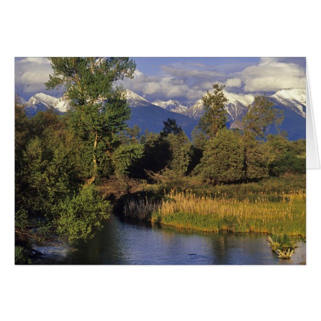 Mission Creek runs through the National Bison (Front Horizontal)