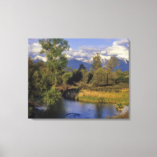 Mission Creek runs through the National Bison Canvas Print