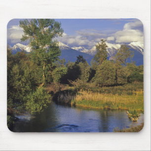 Mission Creek runs through the National Bison Mouse Mat