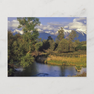 Mission Creek runs through the National Bison Postcard