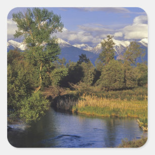 Mission Creek runs through the National Bison Square Sticker