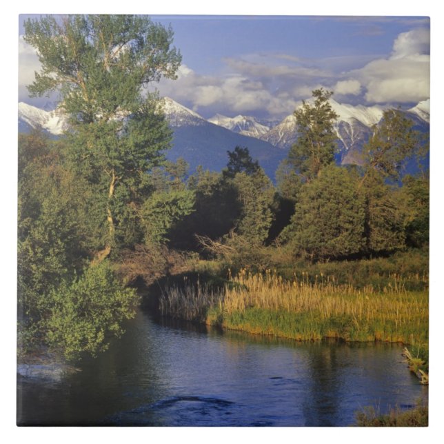 Mission Creek runs through the National Bison Tile (Front)