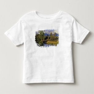 Mission Creek runs through the National Bison Toddler T-Shirt