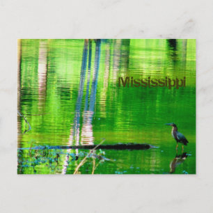 Mississippi Lake Postcard