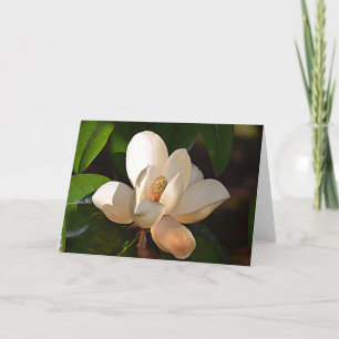 Mississippi Magnolia Card