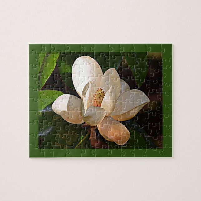 Mississippi Magnolia Jigsaw Puzzle (Horizontal)