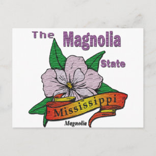 Mississippi Magnolia State  Flower Postcard
