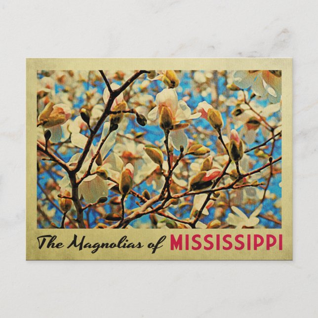 Mississippi Magnolias Postcard (Front)