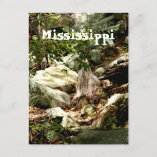 Mississippi Postcard