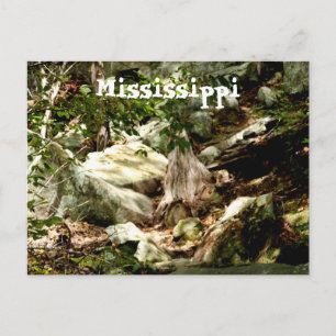 Mississippi Postcard