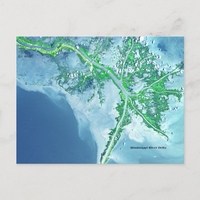 Mississippi River Delta Satellite Postcard (Front)