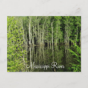 Mississippi River Postcard