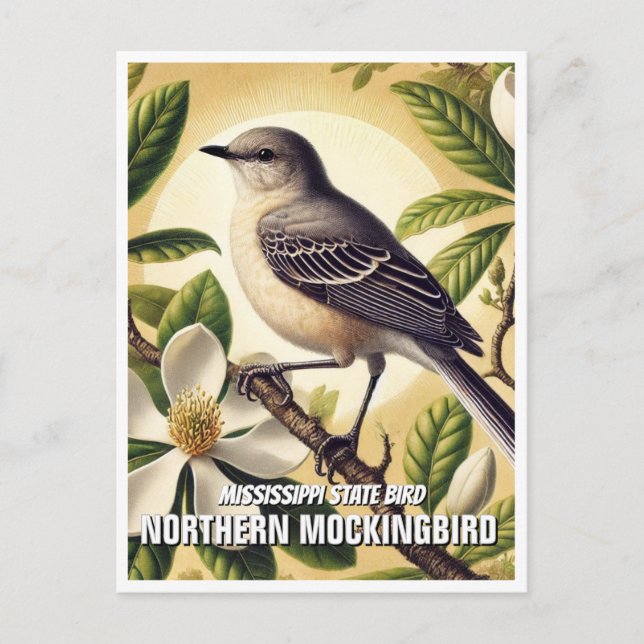 Mississippi State Bird Northern Mockingbird Postcard (Front)