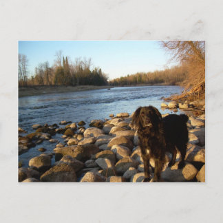 Mississppi river - Good Morning Postcard