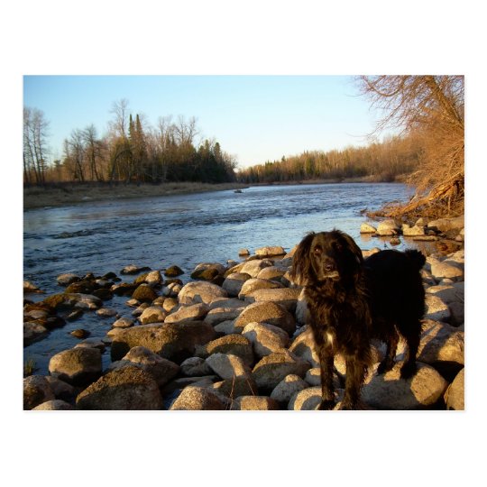 Mississppi river - Good Morning Postcard