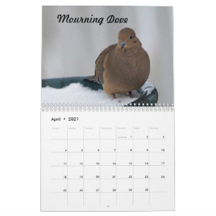 Missouri Backyard Birds Calendar
