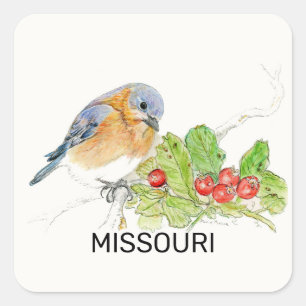 Missouri bird and flower square sticker