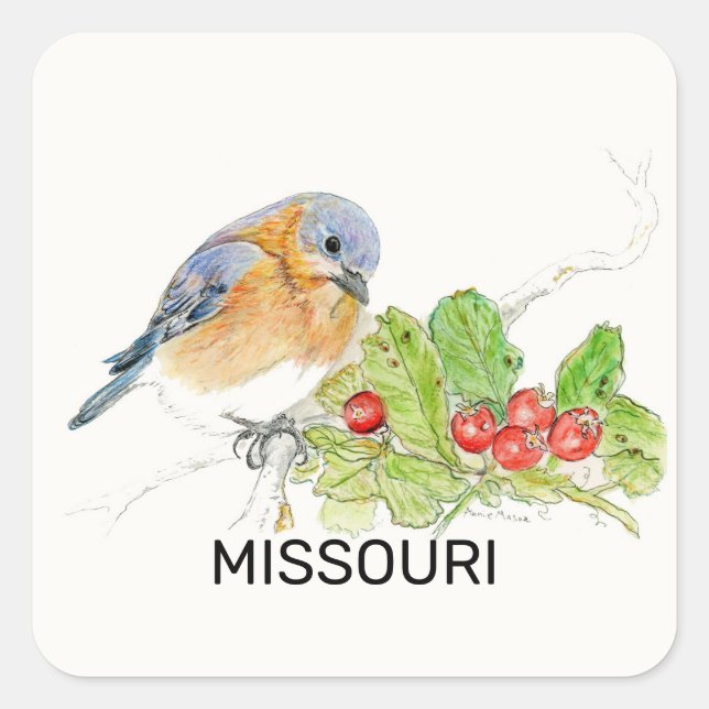 Missouri bird and flower square sticker (Front)