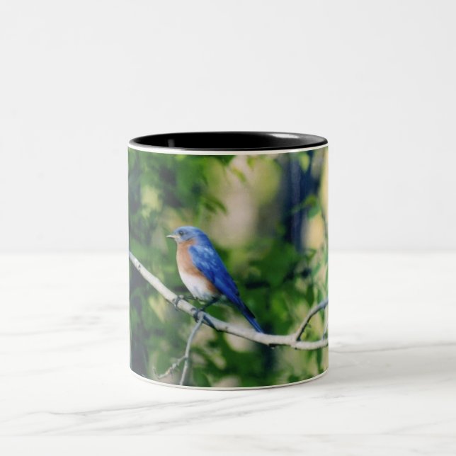 Missouri Blue Bird Two-Tone Coffee Mug (Center)