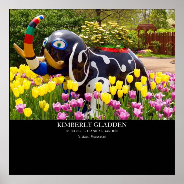 MISSOURI BOTANICAL GARDEN POSTER (Front)