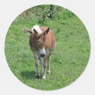 MIssouri Mule Classic Round Sticker