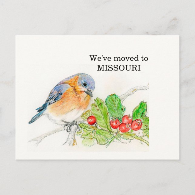 Missouri Postcard (Front)