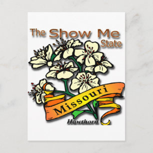Missouri Show Me State Hawthorn Postcard