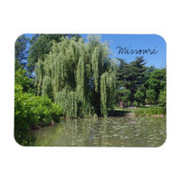 Missouri Weeping Willow on Pond