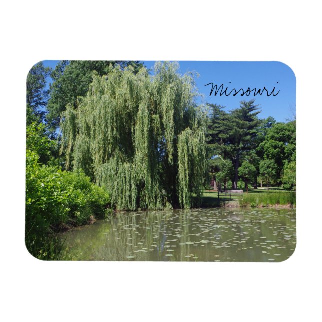 Missouri Weeping Willow on Pond Magnet (Horizontal)