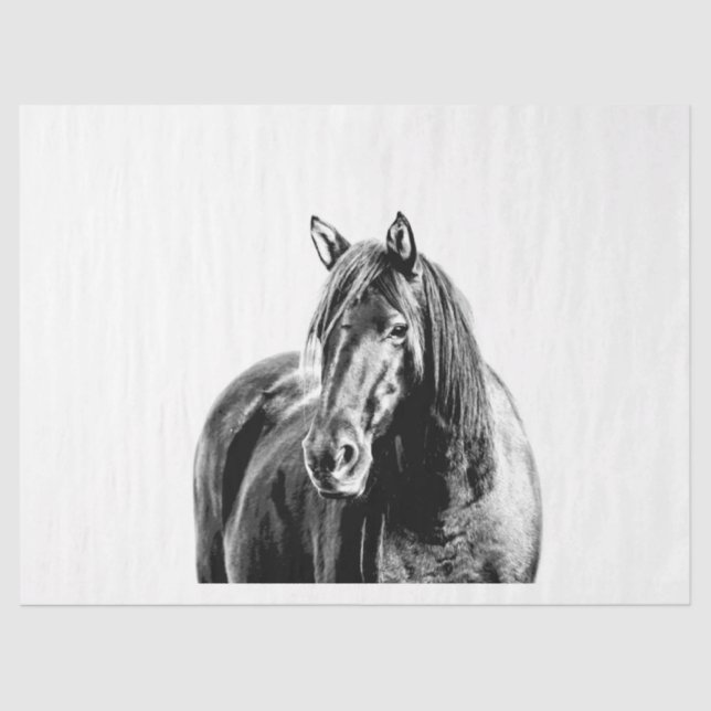 Missouri Wild Horse Tissue Paper (Front)