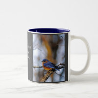 Missouris Eastern Bluebird.