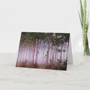 Mist among pine trees at sunrise, Everglades Card