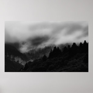 Mist over the forest poster