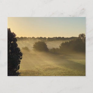 Mist  postcard
