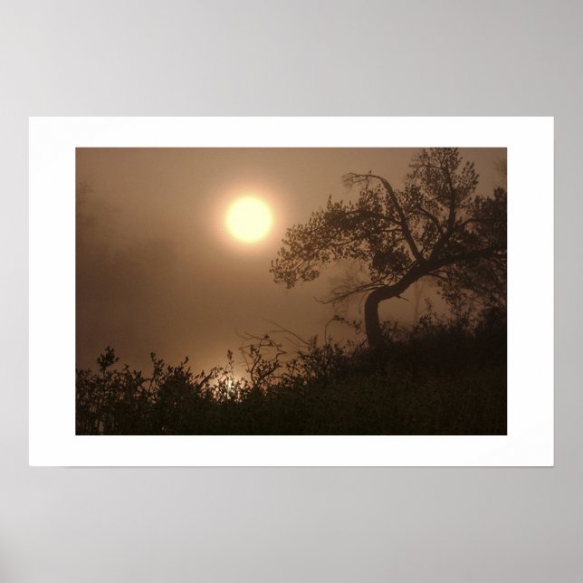 Mist Rise Poster (Front)