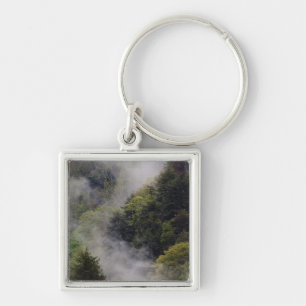 Mist rising from mountainside after spring rain, key ring