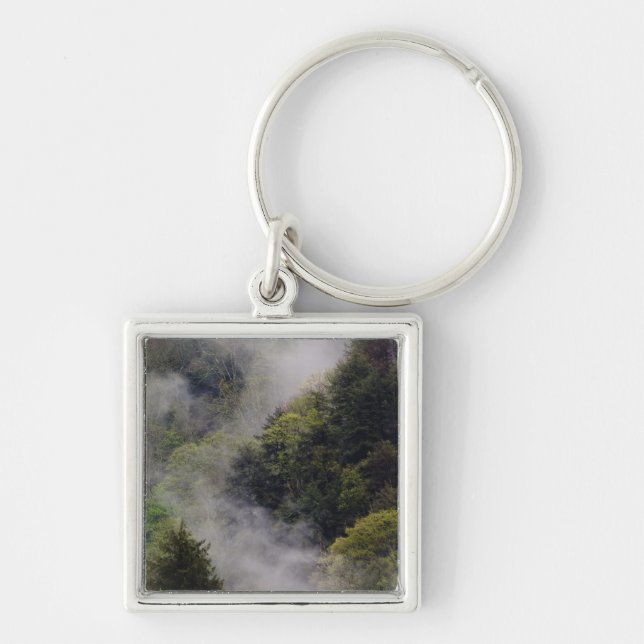 Mist rising from mountainside after spring rain, key ring (Front)