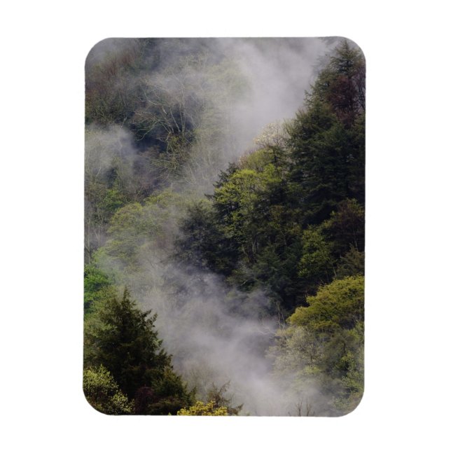 Mist rising from mountainside after spring rain, magnet (Vertical)