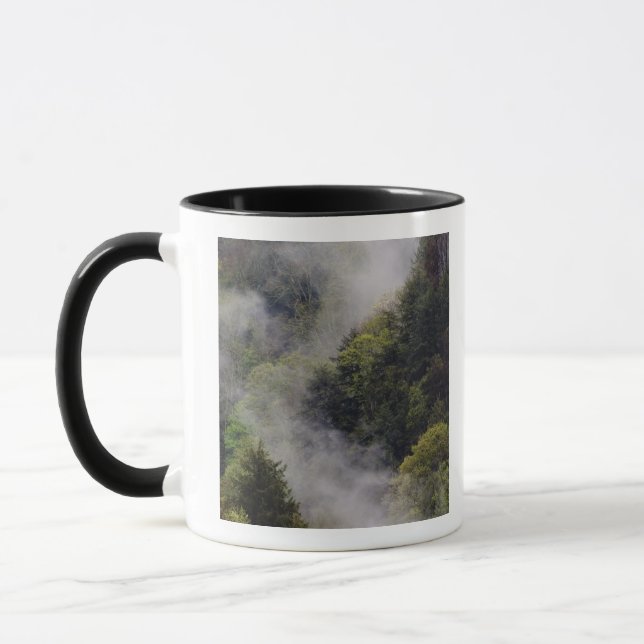 Mist rising from mountainside after spring rain, mug (Left)