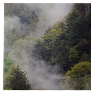 Mist rising from mountainside after spring rain, tile