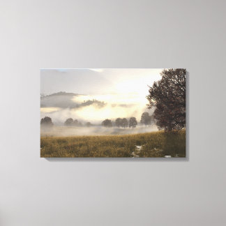 Mist Upon The Meadow Canvas Print