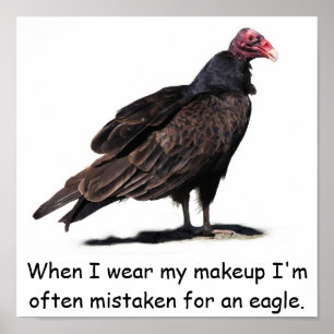 MISTAKEN FOR AN EAGLE POSTER