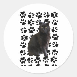 Mister 4 Sticker