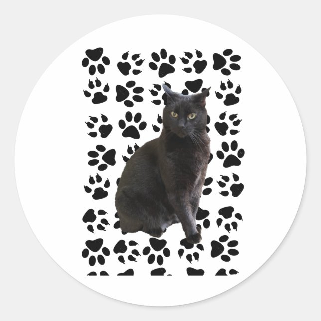 Mister 4 Sticker  (Front)