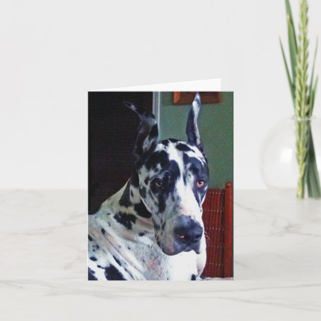 'Mister' Great Dane Card (Front)