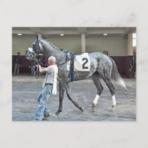 Mister Monolo Postcard