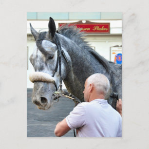 Mister Monolo Postcard