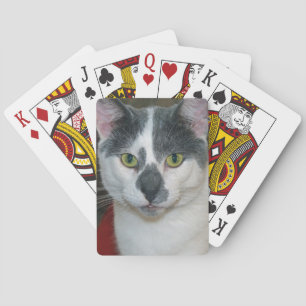 Mister Pants Playing Cards