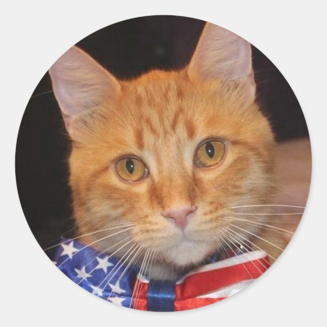 Mister President Loves Stickers! Classic Round Sticker (Front)