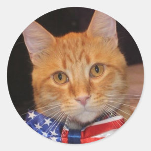 Mister President Loves Stickers! Classic Round Sticker